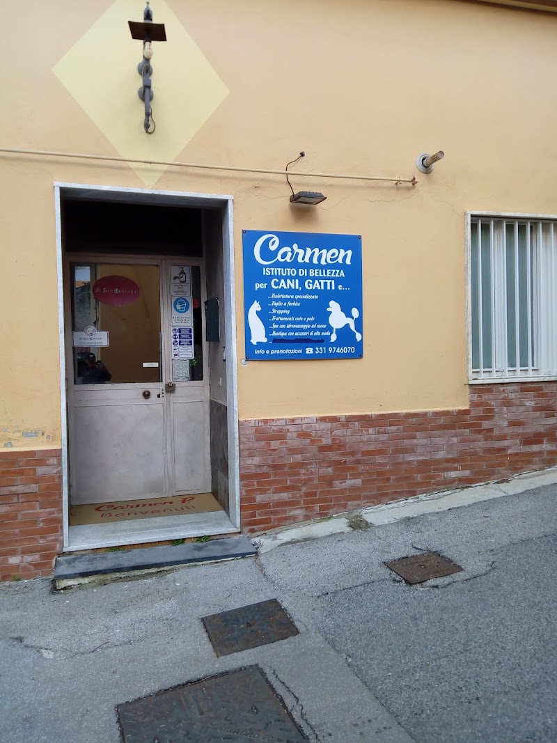 Carmen Istituto De Belleza — estetista a Nocera Superiore