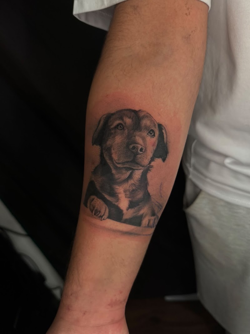 Sailors Tattoo Milano - Tatuaggi Milano — estetista a Milano